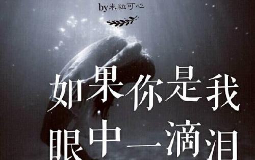 《如果你是我》LRC歌词 《如果你是我》(范玮琪,周华健)歌词555uuu下载