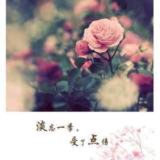 《受了点伤》LRC歌词 《受了点伤》(阿桑)歌词555uuu下载