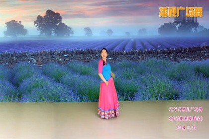 《水边的格桑梅朵》LRC歌词 《水边的格桑梅朵》(魏新雨)歌词555uuu下载