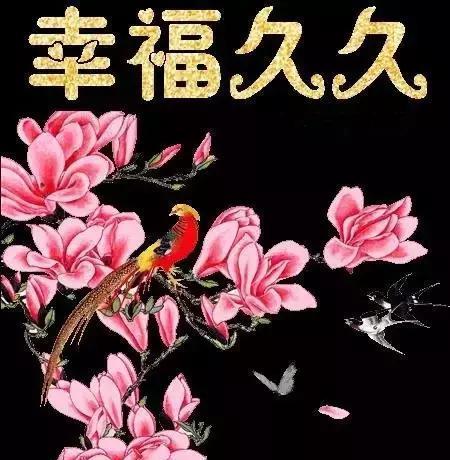 《快乐久久》LRC歌词 《快乐久久》(徐梵溪&樊凡)歌词555uuu下载
