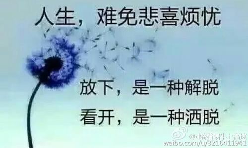 《就算没人爱也不要你的爱》LRC歌词 《就算没人爱也不要你的爱》(张书姚)歌词555uuu下载