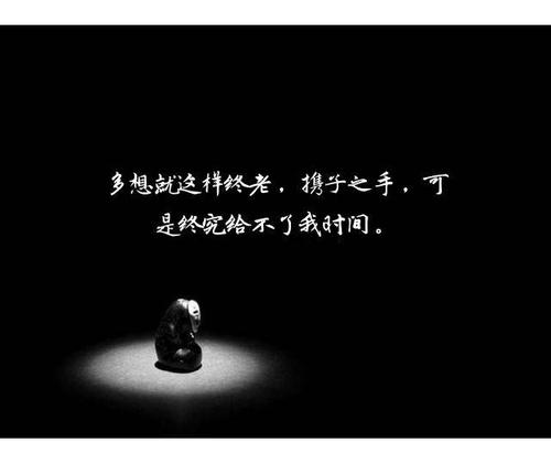 《想你却不敢打扰你》LRC歌词 《想你却不敢打扰你》(晨熙)歌词555uuu下载