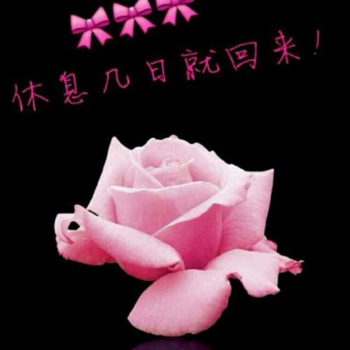 《爱到心碎还想着你的美》(望海高歌)歌词555uuu下载
