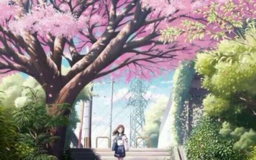 《除了春天爱情和樱花》LRC歌词 《除了春天爱情和樱花》(IU)歌词555uuu下载