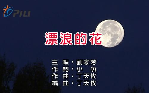 《飘浪的日子》LRC歌词 《飘浪的日子》(林国庆)歌词555uuu下载