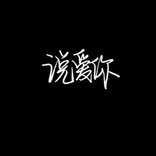 《说爱你以后》LRC歌词 《说爱你以后》(陈乃荣)歌词555uuu下载