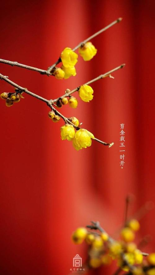 《二月三日》LRC歌词 《二月三日》(郑中基)歌词555uuu下载