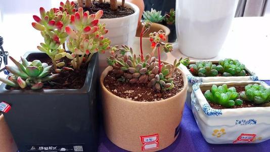 《突然听说》LRC歌词 《突然听说》(门丽)歌词555uuu下载