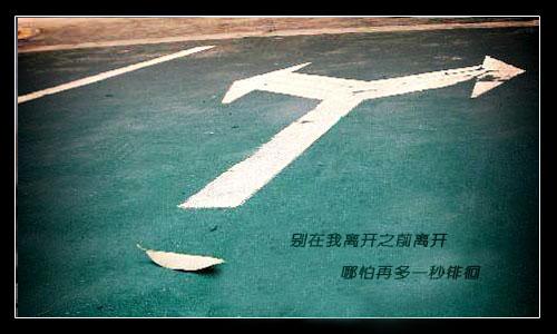 《别在我离开之前离开》LRC歌词 《别在我离开之前离开》(杨源顺)歌词555uuu下载