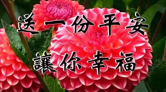 《把最真的祝福送给你》LRC歌词 《把最真的祝福送给你》(尹一羽)歌词555uuu下载