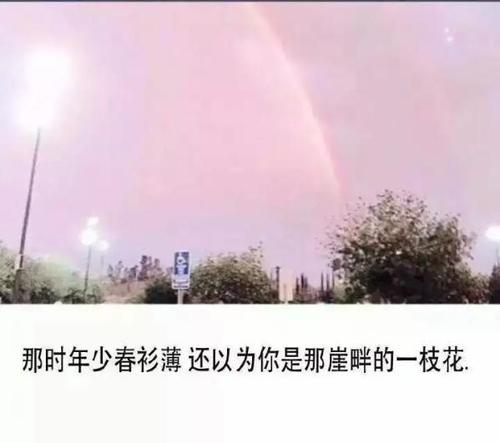 《看见从前的你》LRC歌词 《看见从前的你》(蔡国庆)歌词555uuu下载