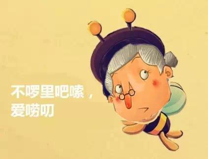 《不要啰嗦》LRC歌词 《不要啰嗦》(刘至佳)歌词555uuu下载