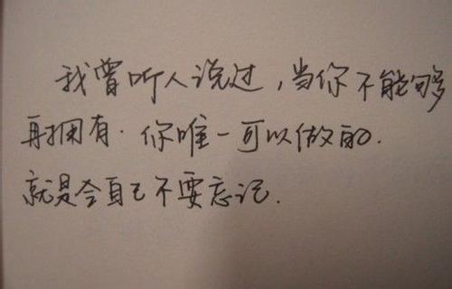 《曾说过要忘记的人》LRC歌词 《曾说过要忘记的人》(玺晨)歌词555uuu下载