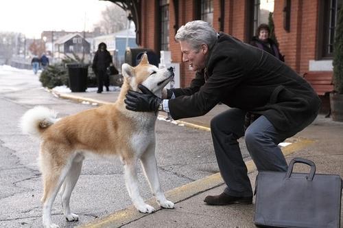 《HACHI》LRC歌词 《HACHI》(白桦树娃娃)歌词555uuu下载