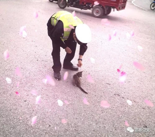 《只想一生陪你走》LRC歌词 《只想一生陪你走》(周明辉)歌词555uuu下载