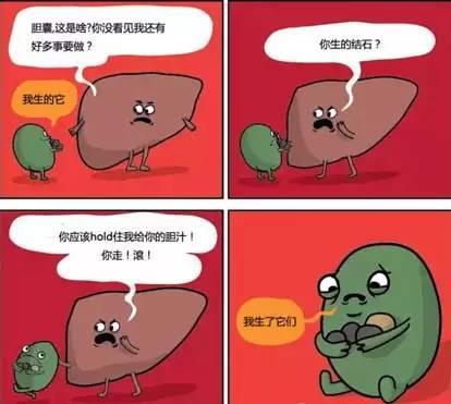 《肝胆相照》LRC歌词 《肝胆相照》(金久哲)歌词555uuu下载
