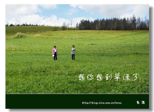 《想你想到草绿了》LRC歌词 《想你想到草绿了》(格格)歌词555uuu下载