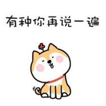 《笨到可以》LRC歌词 《笨到可以》(苏霏)歌词555uuu下载