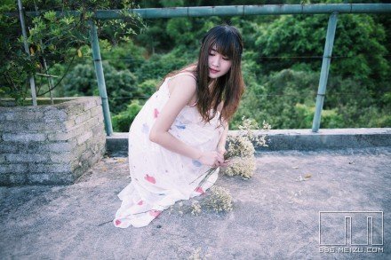 《嫁给我吧姑娘》LRC歌词 《嫁给我吧姑娘》(张金龙)歌词555uuu下载