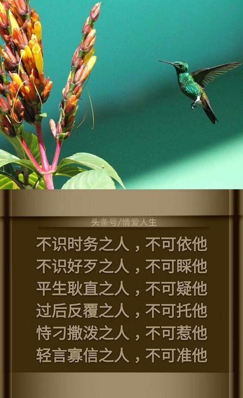 《不识好歹》LRC歌词 《不识好歹》(风小筝(覃沐曦))歌词555uuu下载