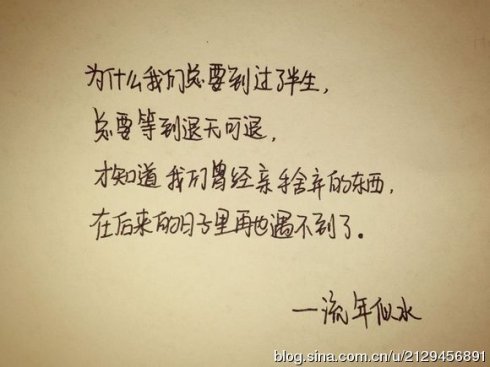 《我不再是你的那个谁》LRC歌词 《我不再是你的那个谁》(望海高歌)歌词555uuu下载