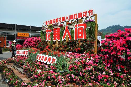 《天下醉美花舞人间》LRC歌词 《天下醉美花舞人间》(望海高歌)歌词555uuu下载
