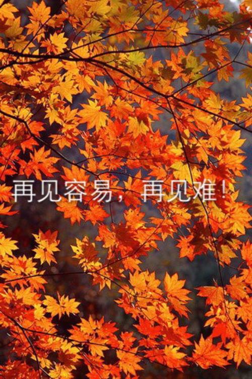 《再见难》LRC歌词 《再见难》(阿悄)歌词555uuu下载