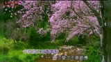 《香草无泪》LRC歌词 《香草无泪》(木喆)歌词555uuu下载