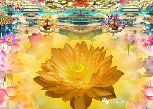 《莲开朵朵》LRC歌词 《莲开朵朵》(孟杨)歌词555uuu下载