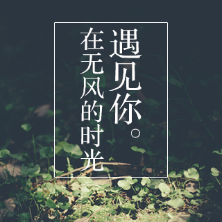 《在无风的时光遇见你》LRC歌词 《在无风的时光遇见你》(天籁天)歌词555uuu下载