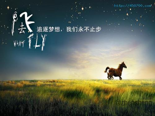 《为爱追逐》LRC歌词 《为爱追逐》(林雨)歌词555uuu下载