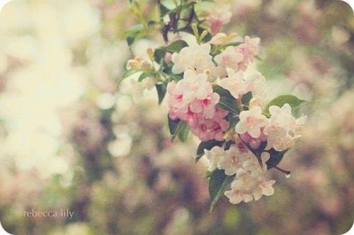 《最美爱情》LRC歌词 《最美爱情》(勾辉)歌词555uuu下载