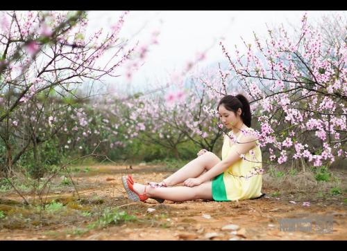 《桃花妹》LRC歌词 《桃花妹》(山女)歌词555uuu下载