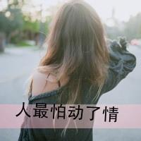 《动了情》LRC歌词 《动了情》(囚鸟)歌词555uuu下载