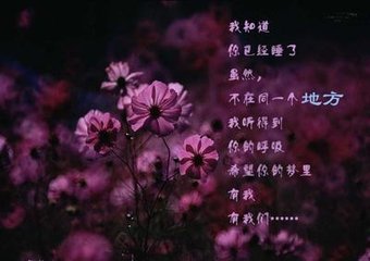 《谁会在意我流下的泪》LRC歌词 《谁会在意我流下的泪》(蒋雪儿)歌词555uuu下载