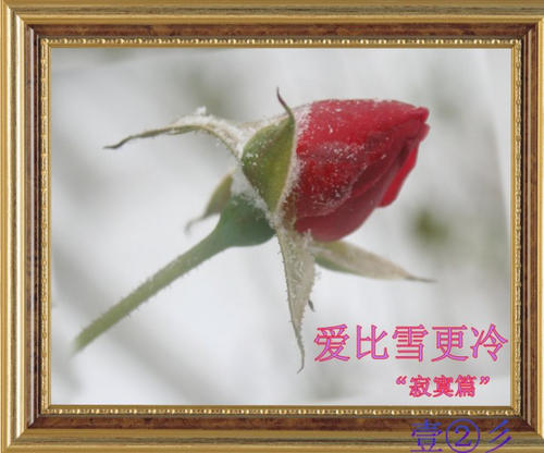 《爱比雪更冷》LRC歌词 《爱比雪更冷》(Five.W)歌词555uuu下载