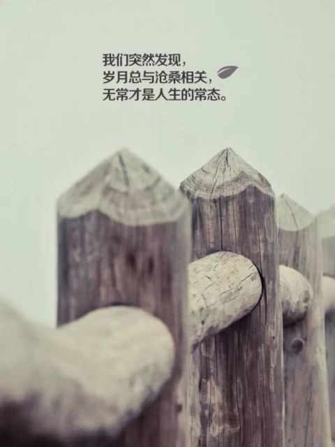 《一个错误的相遇》LRC歌词 《一个错误的相遇》(瑞雪)歌词555uuu下载