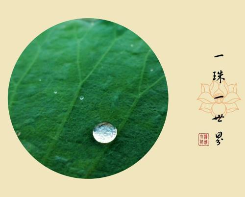《抽身而退》LRC歌词 《抽身而退》(云菲菲)歌词555uuu下载