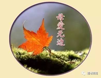 《永远不变我的眷恋》LRC歌词 《永远不变我的眷恋》(甘萍)歌词555uuu下载