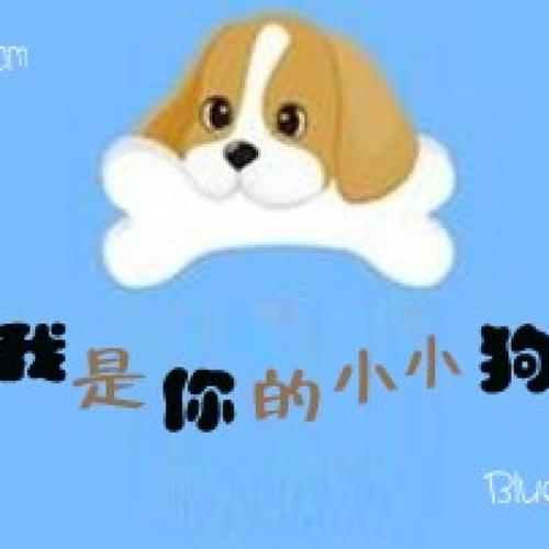 《我是你的小小狗》LRC歌词 《我是你的小小狗》(回音哥)歌词555uuu下载