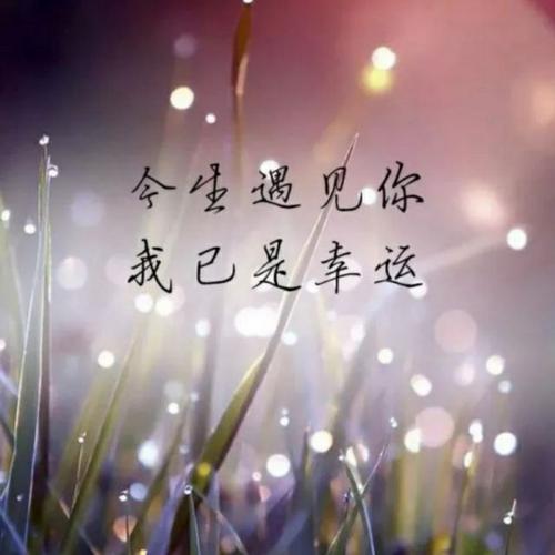 《一次相遇一生守候》LRC歌词 《一次相遇一生守候》(泽央卓玛)歌词555uuu下载