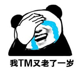 《又老了一岁》LRC歌词 《又老了一岁》(曾雨轩)歌词555uuu下载