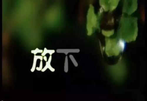 《放下爱情放下你》LRC歌词 《放下爱情放下你》(刘霞米拉)歌词555uuu下载