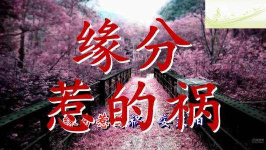 《都是缘分惹的祸》LRC歌词 《都是缘分惹的祸》(万一)歌词555uuu下载