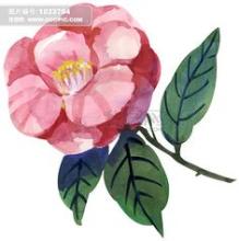 《花心碎》LRC歌词 《花心碎》(轶男)歌词555uuu下载