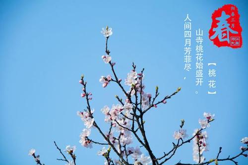 《期许春天》LRC歌词 《期许春天》(杨烁)歌词555uuu下载
