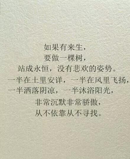 《如果来生拥有你》LRC歌词 《如果来生拥有你》(晨熙)歌词555uuu下载