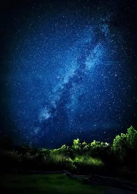 《有风的夜晚》LRC歌词 《有风的夜晚》(杨紫)歌词555uuu下载