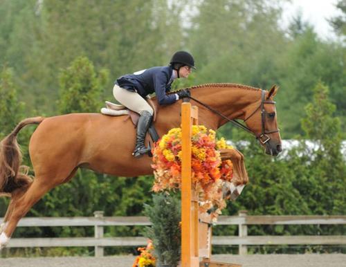 《Horse Riding》LRC歌词 《Horse Riding》(the,HIATUS)歌词555uuu下载