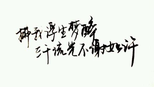 《梦醉浮生》LRC歌词 《梦醉浮生》(王爱华)歌词555uuu下载